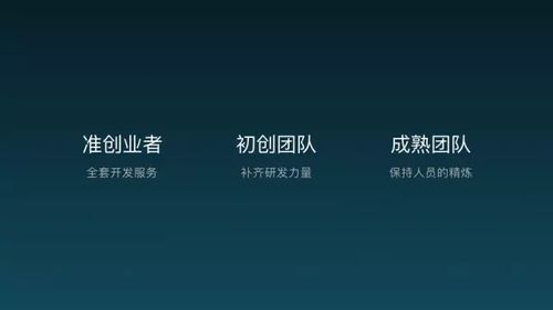 码市携手开发者与创业者，重新定义软件外包服务